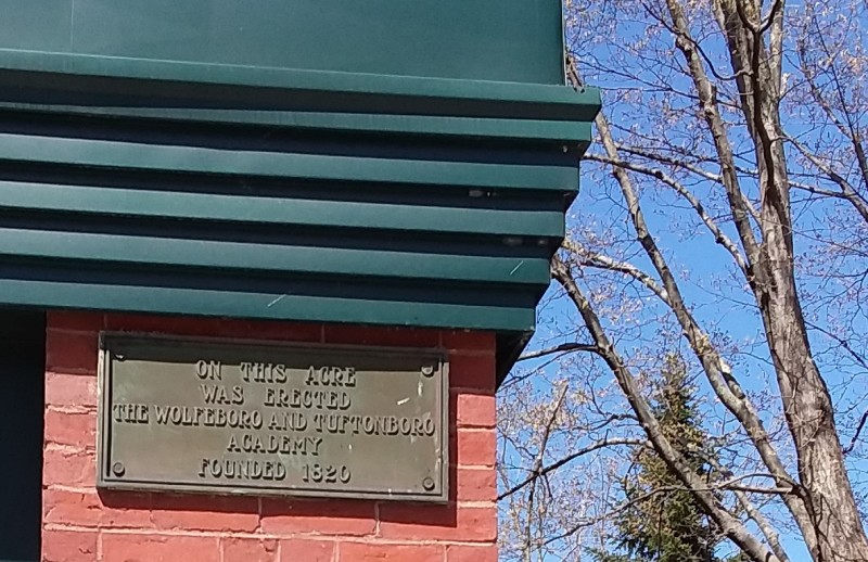 Scaled image 17_Wolf_Tuft_Acad_site.jpg 