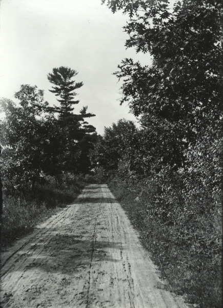 Scaled image s01103.jpg 