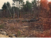 Thumbnail s01301.jpg 