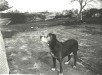 Thumbnail s01302.jpg 
