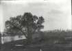 Thumbnail s01303.jpg 
