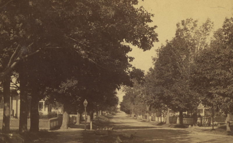 Scaled image s01458.jpg 