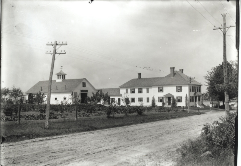 Scaled image s00810.jpg 