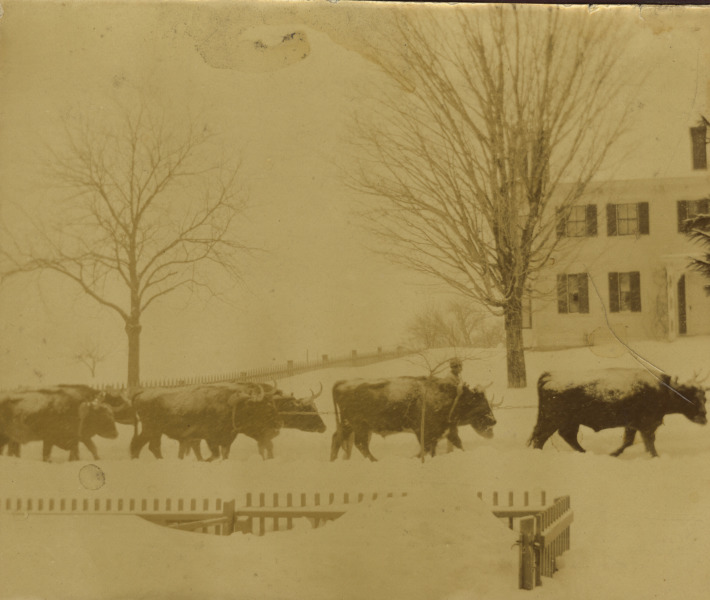 Scaled image s01589.jpg 