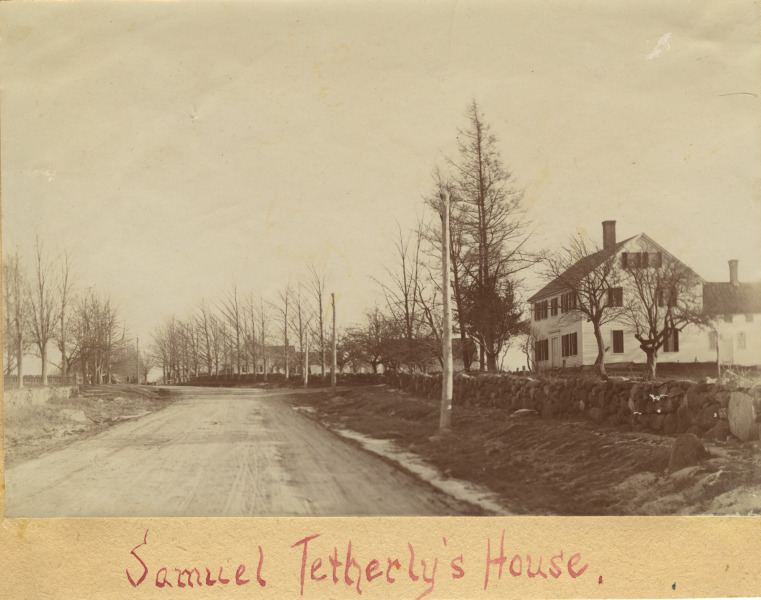 Scaled image s01660.jpg 