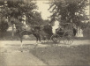 Thumbnail s01377.jpg 