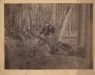 Thumbnail s00131.jpg 
