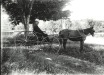 Thumbnail s00148.jpg 