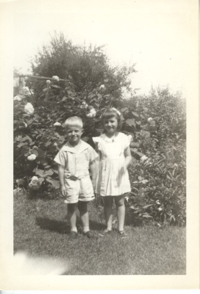 Scaled image s00329.jpg 