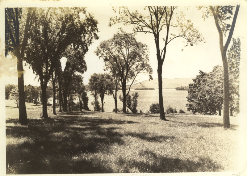 Scaled image s00890.jpg 