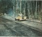 Thumbnail s01745.jpg 