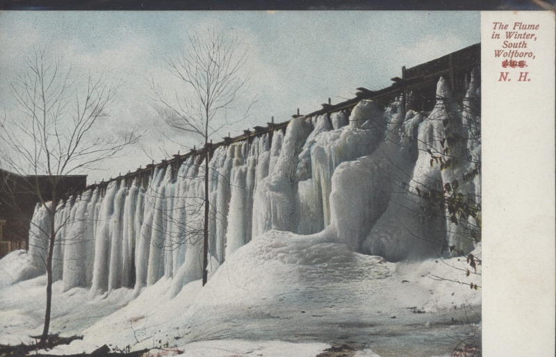 Scaled image s00448.jpg 