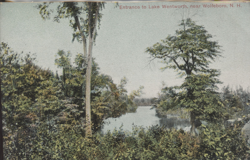 Scaled image s00379.jpg 