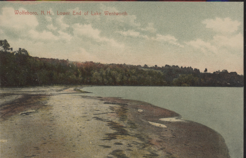 Scaled image s00395.jpg 