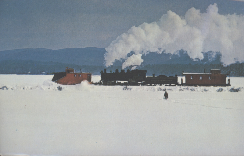 Scaled image s00099.jpg 