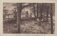 Thumbnail s00118.jpg 