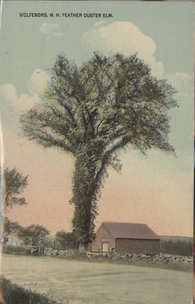 Scaled image s00240.jpg 