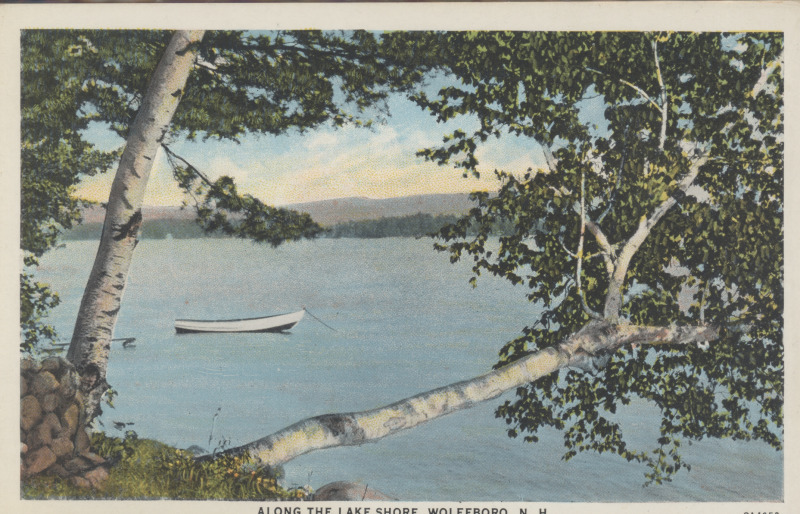 Scaled image s00248.jpg 