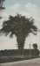 Thumbnail s00238.jpg 