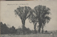 Thumbnail s00241.jpg 