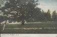 Thumbnail s00245.jpg 
