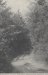 Thumbnail s00251.jpg 