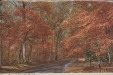 Thumbnail s00256.jpg 