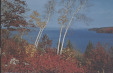Thumbnail s00257.jpg 