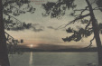 Thumbnail s00263.jpg 