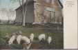 Thumbnail s00269.jpg 