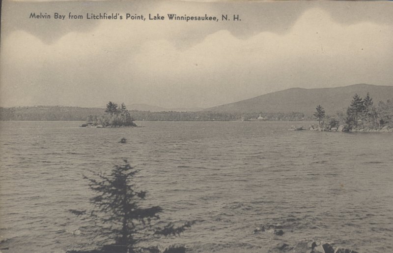 Scaled image s00645.jpg 