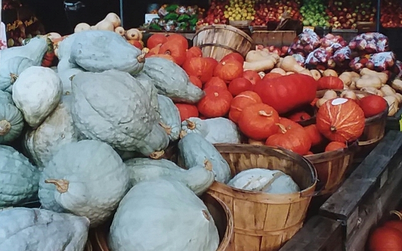 Scaled image Market_Stand.jpg 