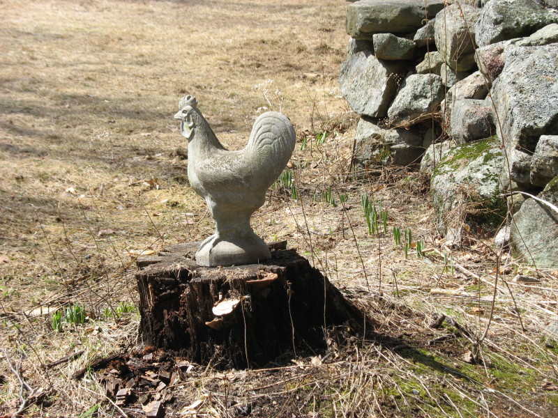 Scaled image chicken_ornament.jpg 