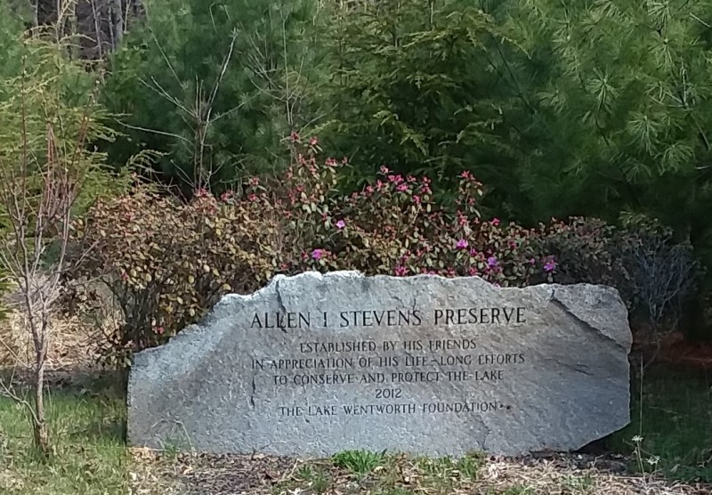Scaled image 44_A._Stevens_preserve.jpg 