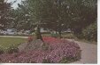 Thumbnail s0526024.jpg 