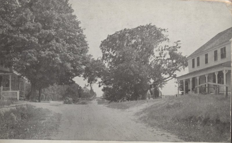Scaled image s00451.jpg 