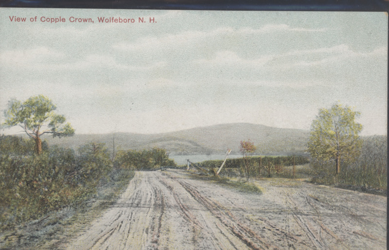 Scaled image s00454.jpg 