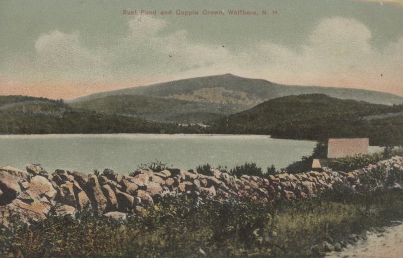 Scaled image s00460.jpg 