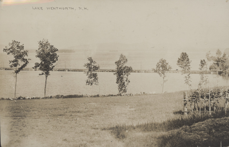 Scaled image s00383.jpg 