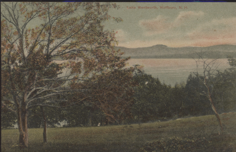 Scaled image s00393.jpg 