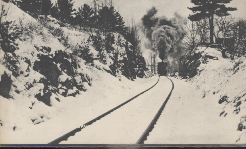 Scaled image s00086.jpg 