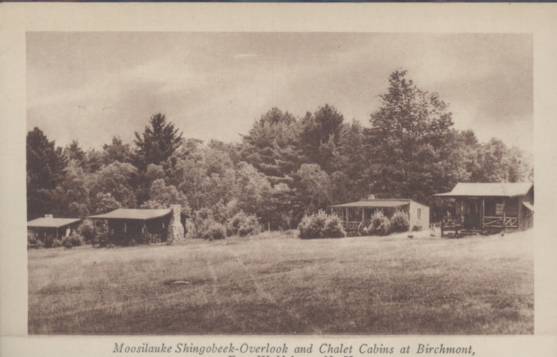 Scaled image s00117.jpg 