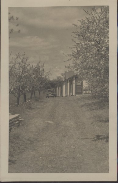 Scaled image s00164.jpg 