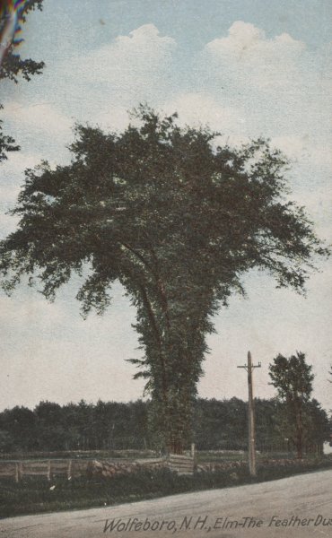 Scaled image s00238.jpg 