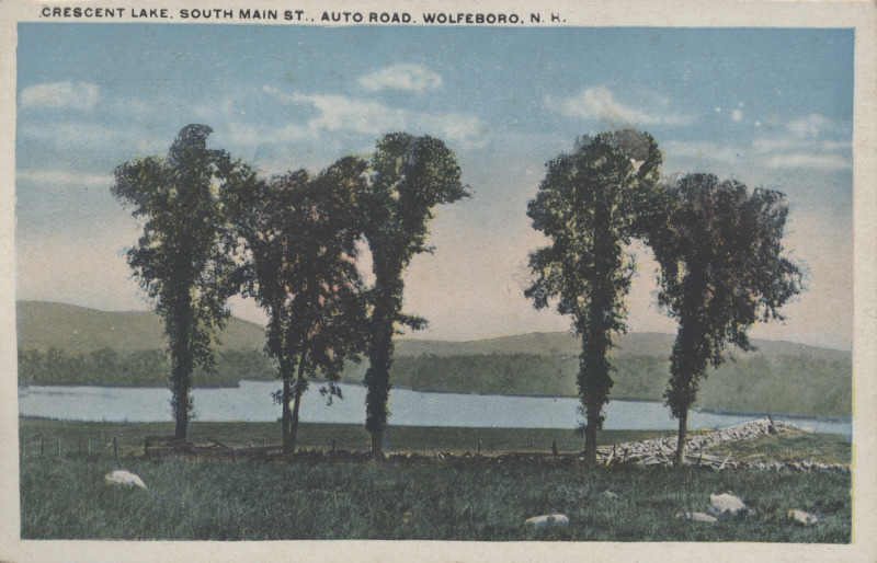 Scaled image s00243.jpg 