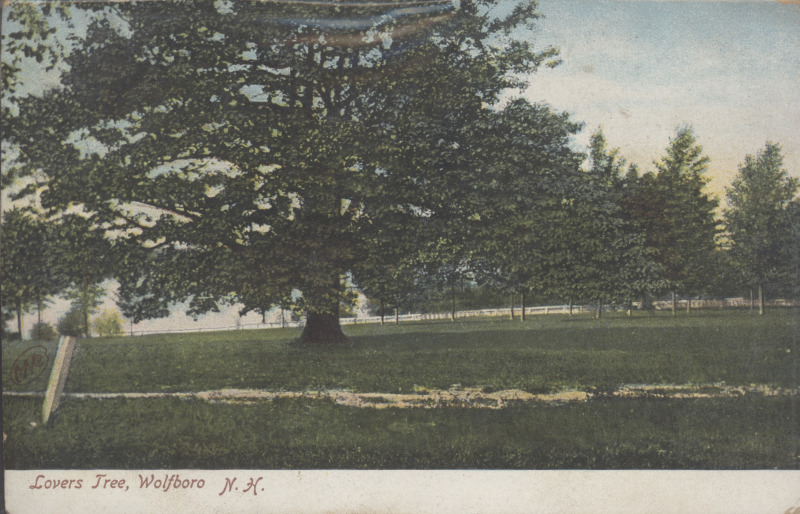 Scaled image s00245.jpg 