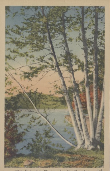 Scaled image s00249.jpg 
