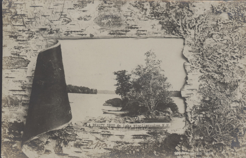 Scaled image s00252.jpg 