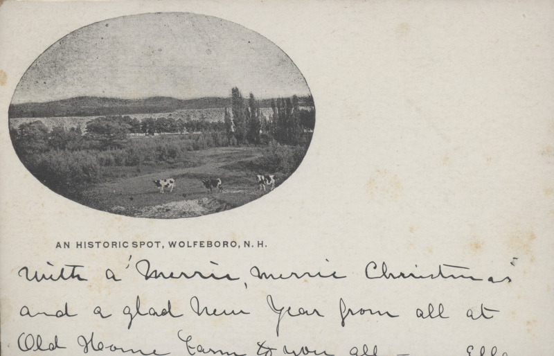 Scaled image s00254.jpg 