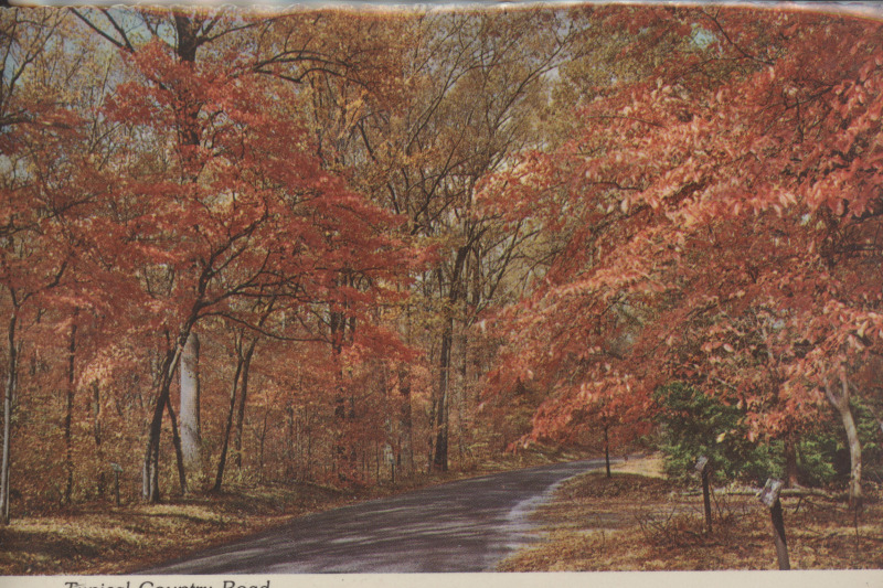 Scaled image s00256.jpg 